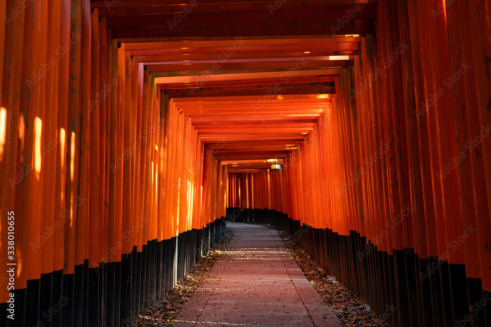 Fototapeta premium Fushimi inari taisha during the coronavirus crisit, 2020.