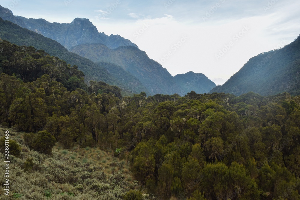 Scenic Mountain Landscapes in rural Uganda, Rwenzori Mountains National Park