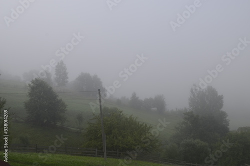 mountain forest in the fog