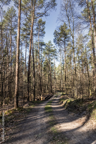 Wildlife Sanctuary Hahnheide - forest track