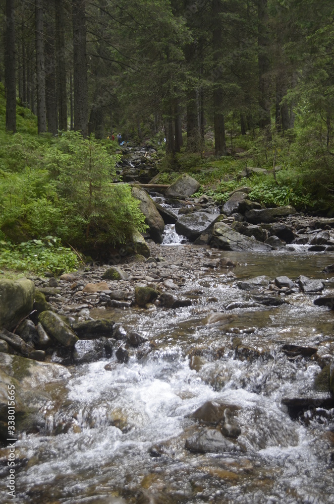 landscape with mountains, forest and a river landscape with mountains, forest and a river