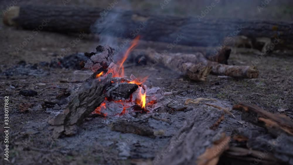 Fire. Spring fire in the forest. In the evening, by the fire in a forest clearing. April. Fire. Spring fire in the forest. In the evening, by the fire in a forest clearing. April.