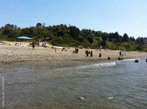 Drift wood stones beach coastline photo