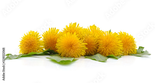 Dandelion with leaves.