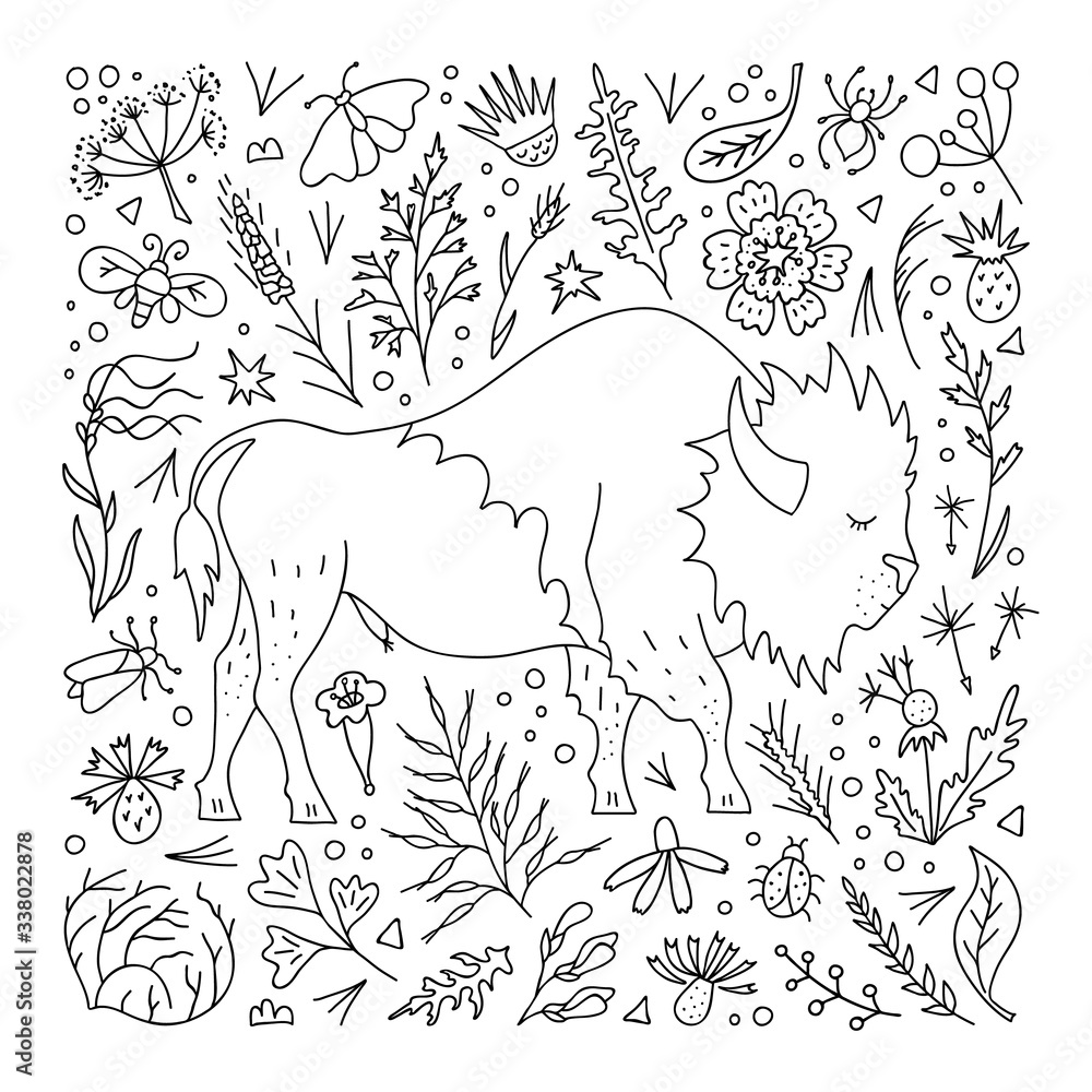 Obraz premium Hand-drawn bison in outline style on a background of prairie foliage and flowers. Coloring book with decorative plant elements and buffalo. Vector linear illustration in doodle style.