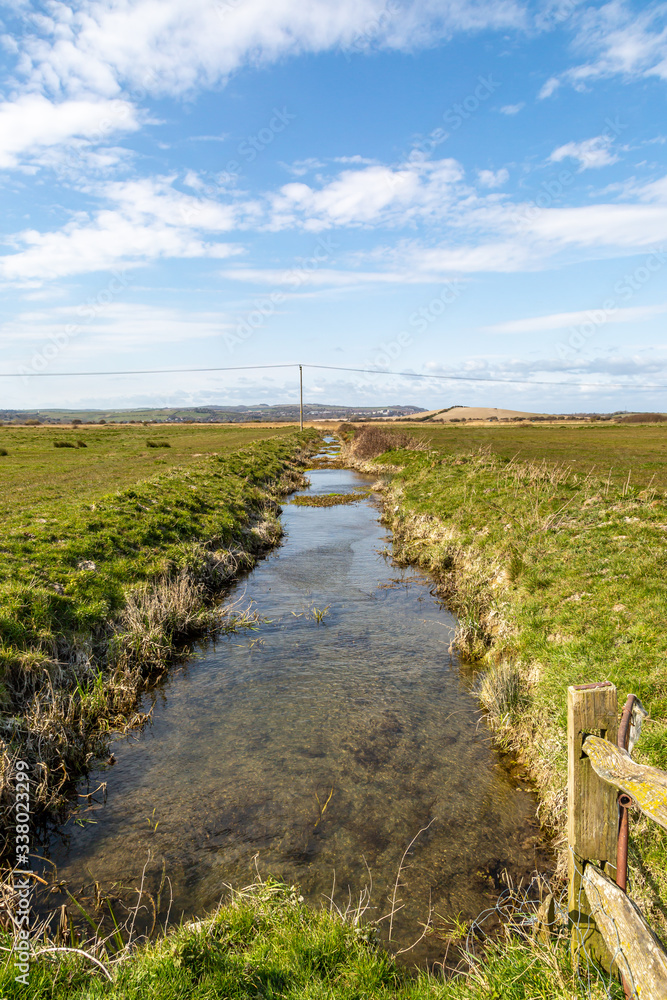 Looking along a stream in the Sussex countryside on a sunny spring day