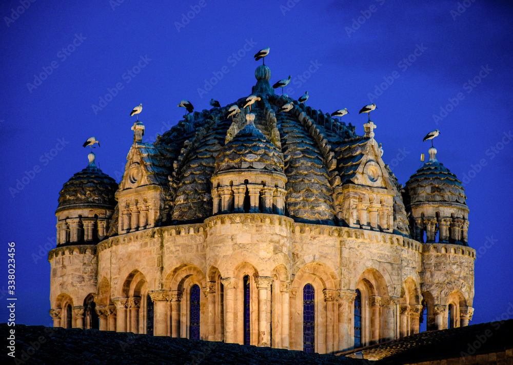 dome of the cathedral surrounded by storks at night