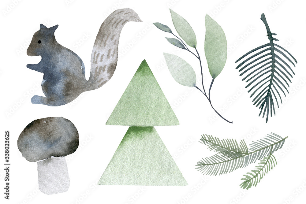 Plakat Ilustracja wiewiórki w lesie. elementy akwareli grzyby,