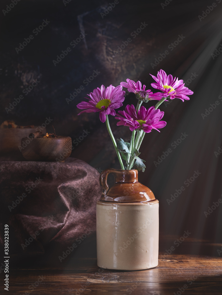 Fotografie Sunlight Shining on Purple Daisy Flowers