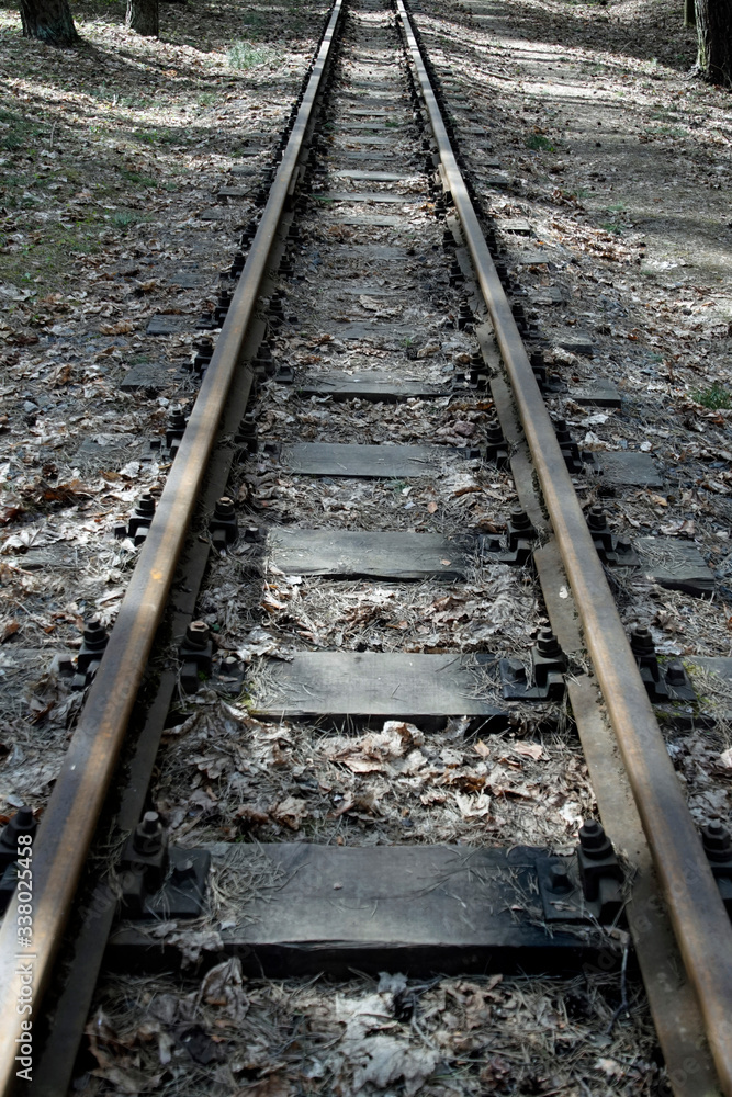 Railway. Rails. Linear perspective. Vertical shot. Wooden sleepers. Line