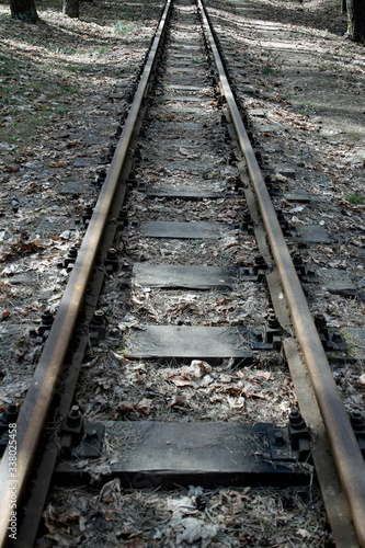 Railway. Rails. Linear perspective. Vertical shot. Wooden sleepers. Line