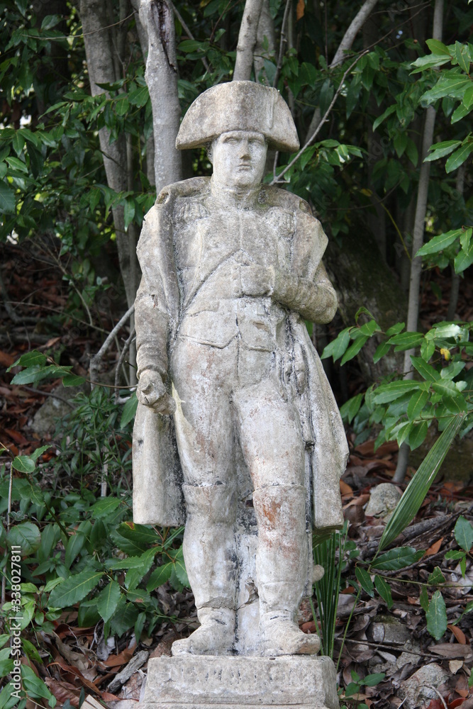 Fototapeta premium Napoleon