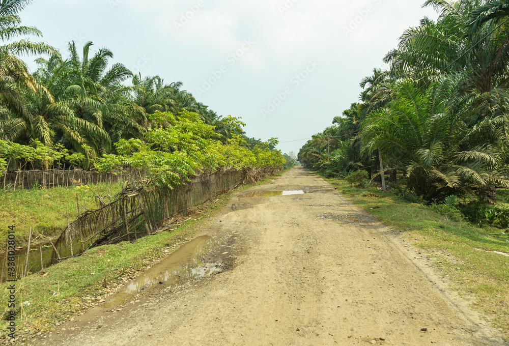 Bumpy gravel road at palm oil plantations seen on a hazy day in Bengkulu province, Sumatra, Indonesia