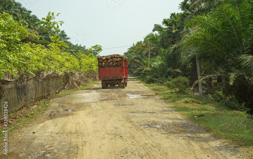 Old truck loaded with sawit palms seen in palm oil plantation in Bengkulu, Sumatra, Indonesia photo