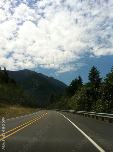 American pine tree forest road trip in a national park © Estelle R