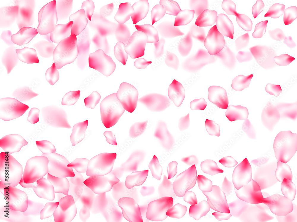 Spring tree flowers parts, airy flying petals Spring tree flowers parts, airy flying petals