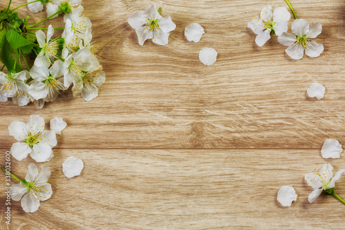 Spring flowers on wooden background