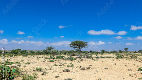 Panoramic View to the Valley Behind of Laas Geel Rocks near Hargeysa, Somaliland 