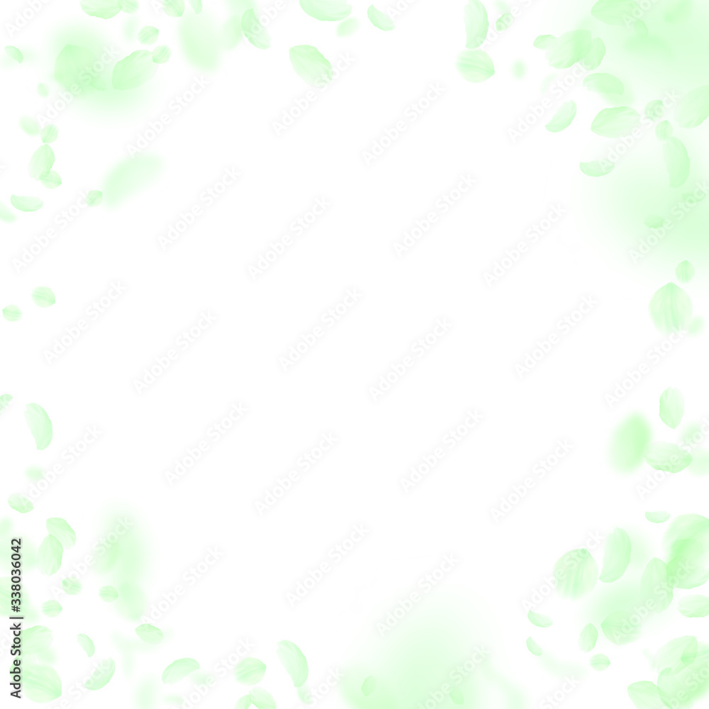 Green flower petals falling down. Emotional romant Green flower petals falling down. Emotional romant