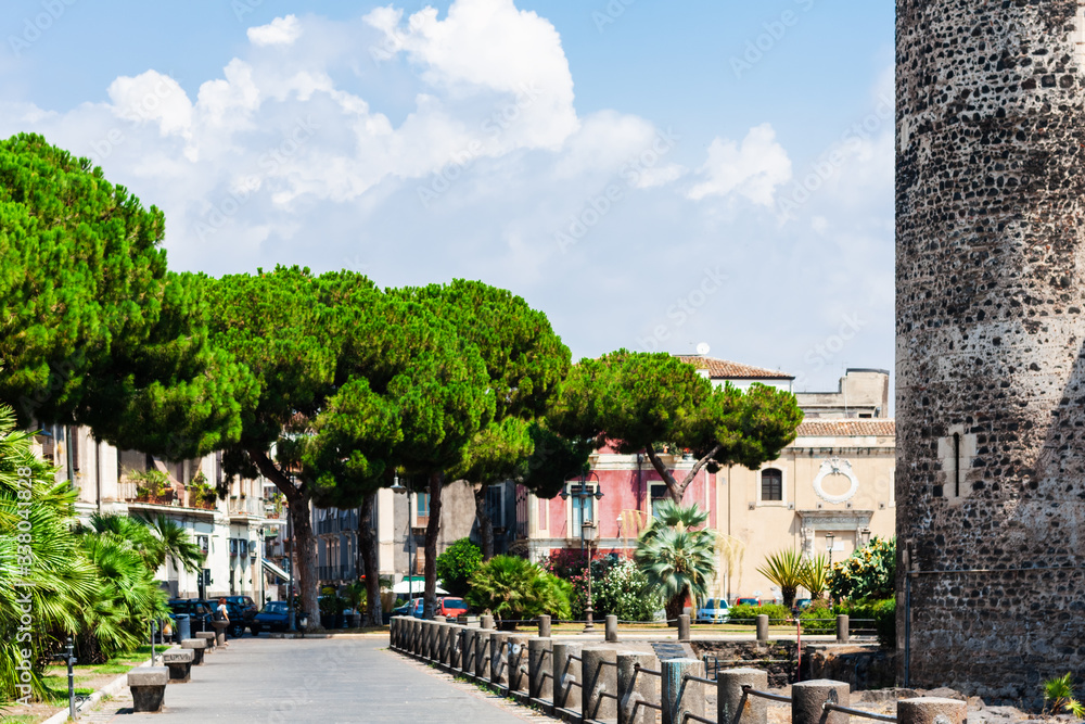 Palm tree alley near famous landmark Castello Ursino, ancient castle in Catania, Sicily, Southern Italy.