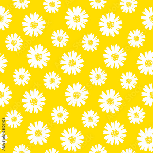 seamless daisy pattern and background vector illustration