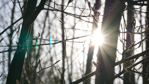 Fototapeta Naklejka Na Ścianę i Meble -  wiosna