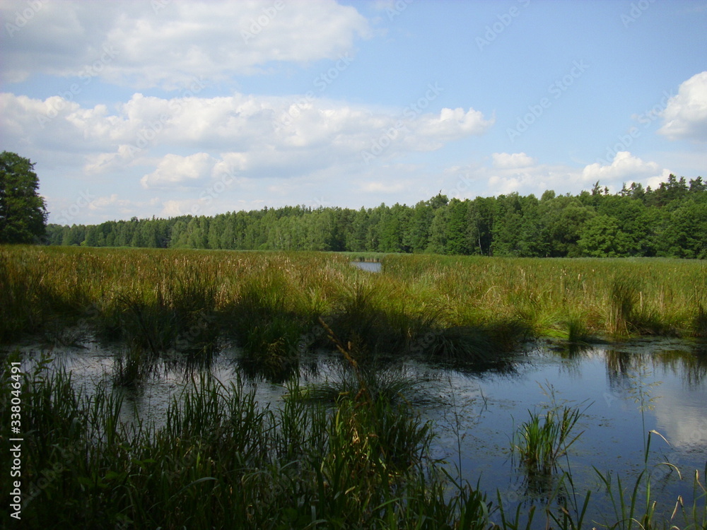 Trebon pond system - magical landscape of ponds, floodplain forests in south czechia