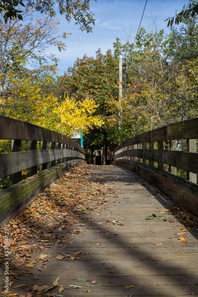 An Autumn Afternoon in Waltham, Massachusetts An Autumn Afternoon in Waltham, Massachusetts
