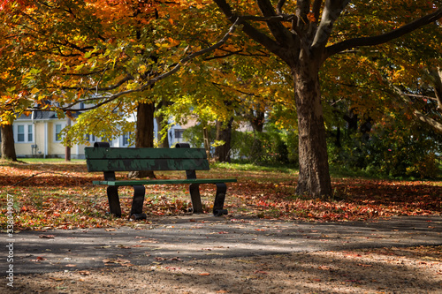 Fototapeta Naklejka Na Ścianę i Meble -  An Afternoon of Autumn in Watertown, Massachusetts