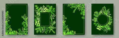 Watercolor herb twigs, tree branches, flowers floral invitation cards collection. Herbal frames retro cards design with dandelion flowers, fern, mistletoe, olive tree leaves, savory twigs.