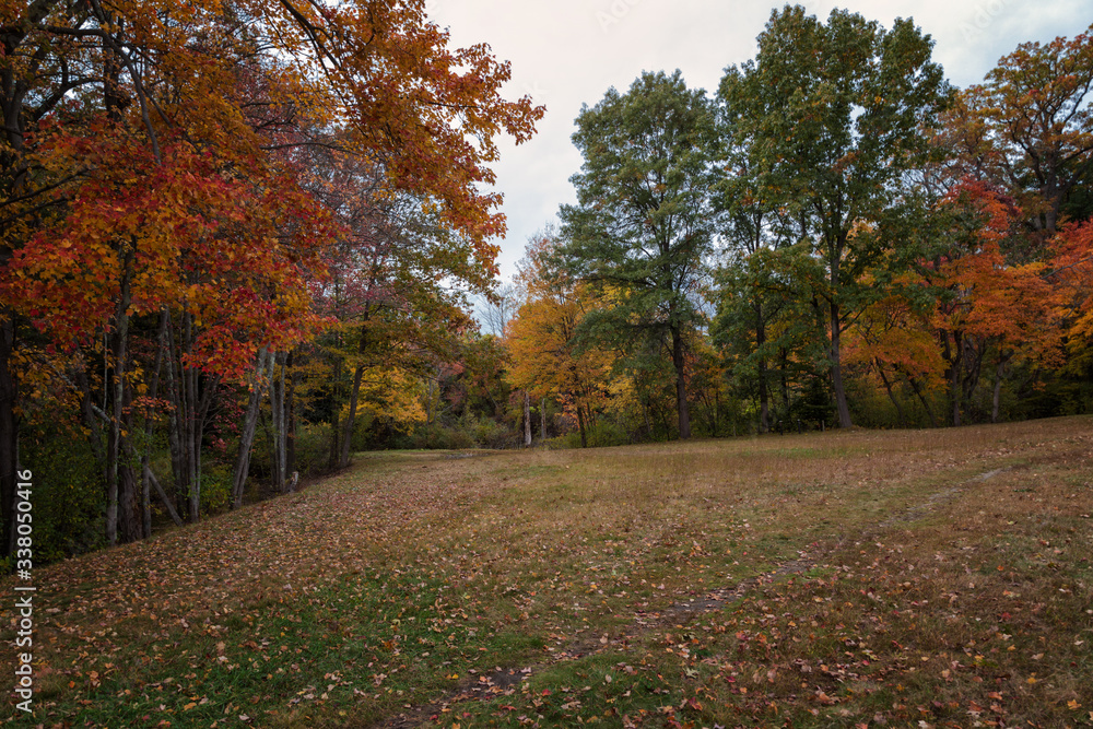 Naklejka premium Autumn Landscapes in Massachusetts