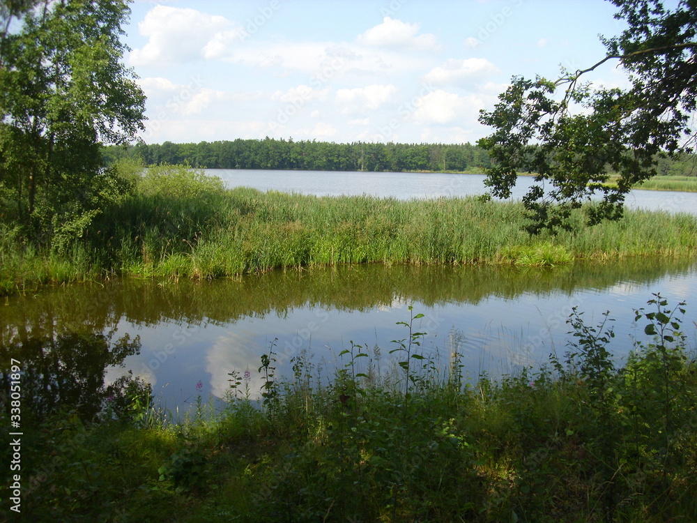 Trebon pond system - magical landscape of ponds, floodplain forests in south czechia