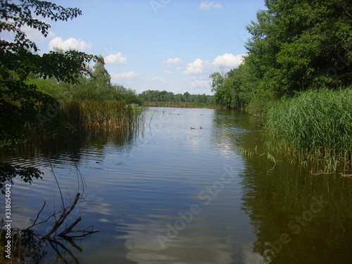 Fototapeta Naklejka Na Ścianę i Meble -  Trebon pond system - magical landscape of ponds, floodplain forests in south czechia