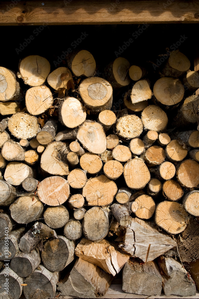 Fototapeta premium A stack of logs for a wood fire