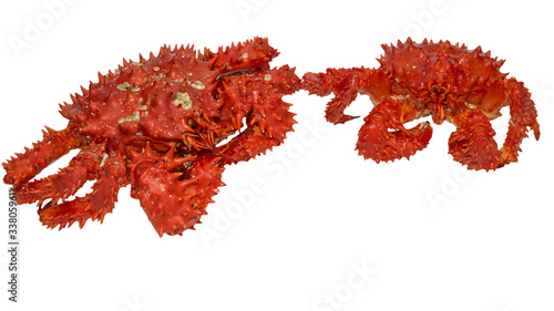 Two isolated raw Kamchatka red king crabs.