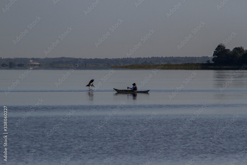 Fototapeta premium The Heron and the Kayaker