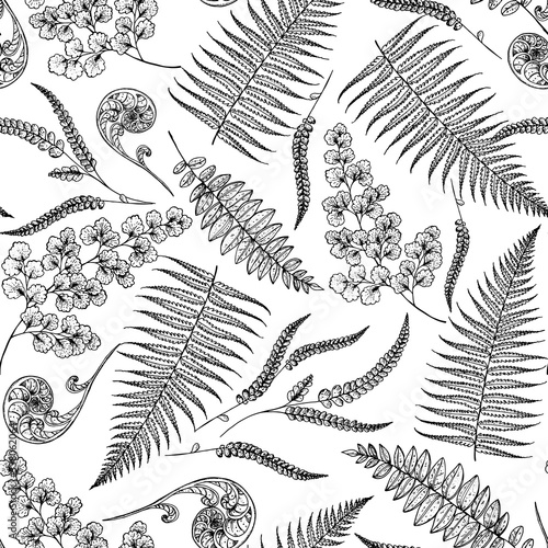 Floral seamless pattern. Fern sketch background. Hand drawn illustration. Tropical pattern. Vector illustration. Design template.