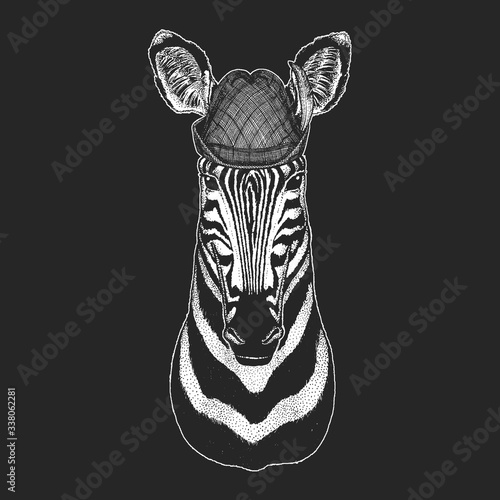 Zebra portrait. Oktoberfest. Tirol traditional hat. Beer festival. Head of wild animal.