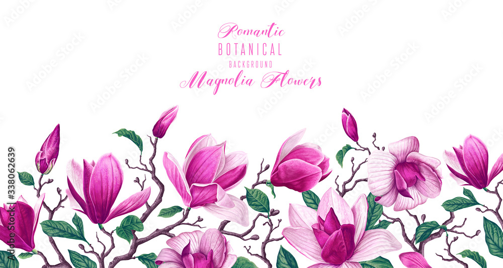 Vector horizontal border with pink magnolia flowers and leaves isolated on white background. Spring theme background, vector, botanical floral design in realistic style. Greeting, invitation card.