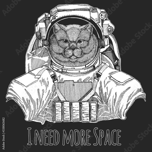 British shorthair cat. Spaceman, astronaut. Wild animal wearing space suit. Scottish fold. Cute kitten. Cool animal.