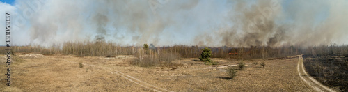 In Ukraine, forests and fields are burning.