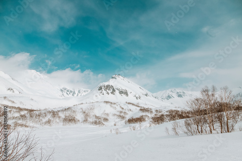 Winter mountains-space for text, frosty blue sky over the snowy peaks of rocks and mountains, dry grass grows for wild animals, a place for skiing and snowboarding, as well as on cheesecakes,fresh air