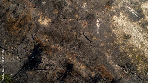 Large-scale fire burned forest. Top view field.