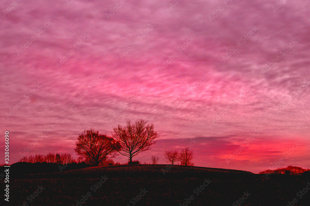 Obraz premium OLYMPUS DIGITAL CAMERA