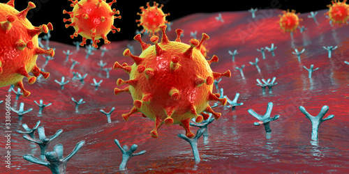 SARS-CoV-2 virus binding to ACE2 receptors on a human cell photo