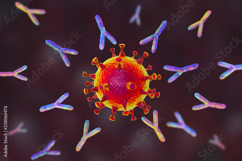 Antibodies attacking SARS-CoV-2 virus photo