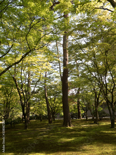 Jardines Kenrokuen  en Kanazawa  Jap  n