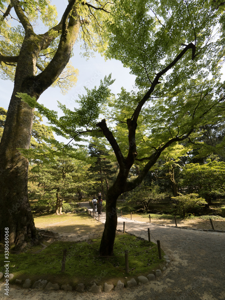 Obraz premium Jardines Kenrokuen, en Kanazawa, Japón