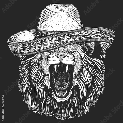 Lion. Wild animal portrait. Sombrero is traditional mexican hat. Mexico.Face of african cat.