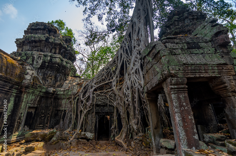 Fototapeta premium Ta Prohm Tomb Raider Tempel, Siam Reap, Kambodscha
